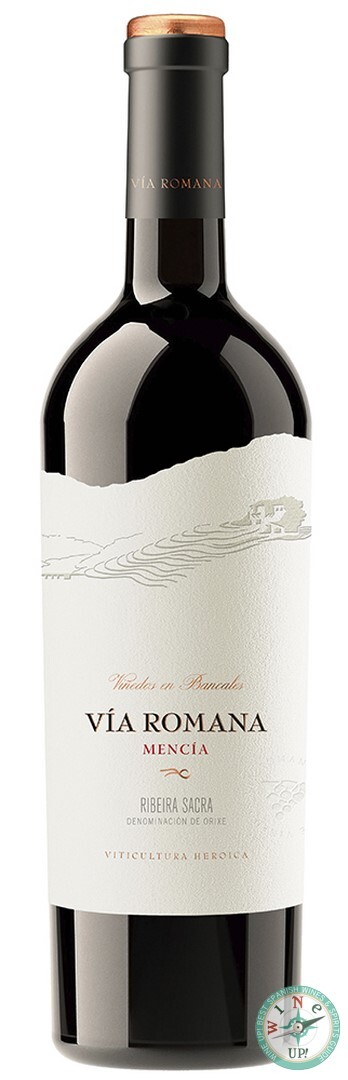 VÍA ROMANA MENCÍA AÑADA 2024