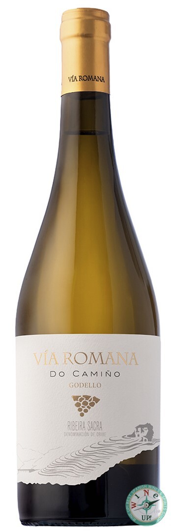 VÍA ROMANA DO CAMIÑO GODELLO 2024