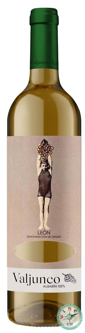 VALJUNCO ALBARÍN 2023