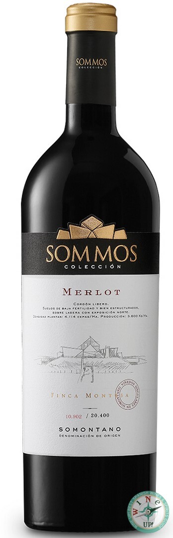 SOMMOS COLECCIÓN MERLOT 2020