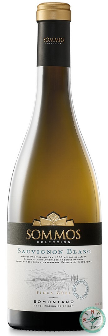 SOMMOS COLECCIÓN SAUVIGNON BLANC 2024