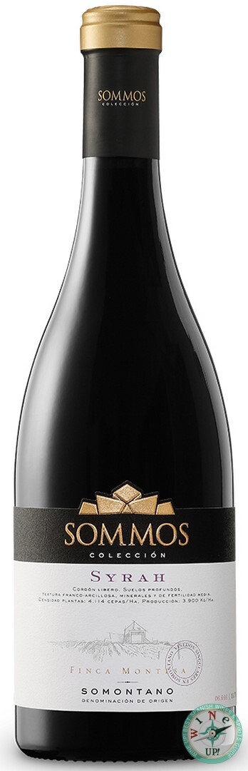 SOMMOS COLECCIÓN SYRAH 2020