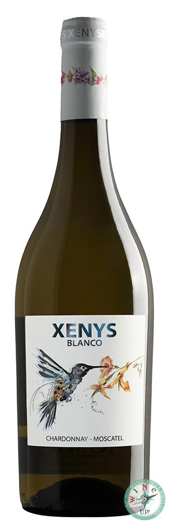 XENYS BLANCO ECO 2024