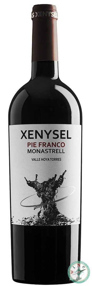 XENYSEL PIE FRANCO 2024