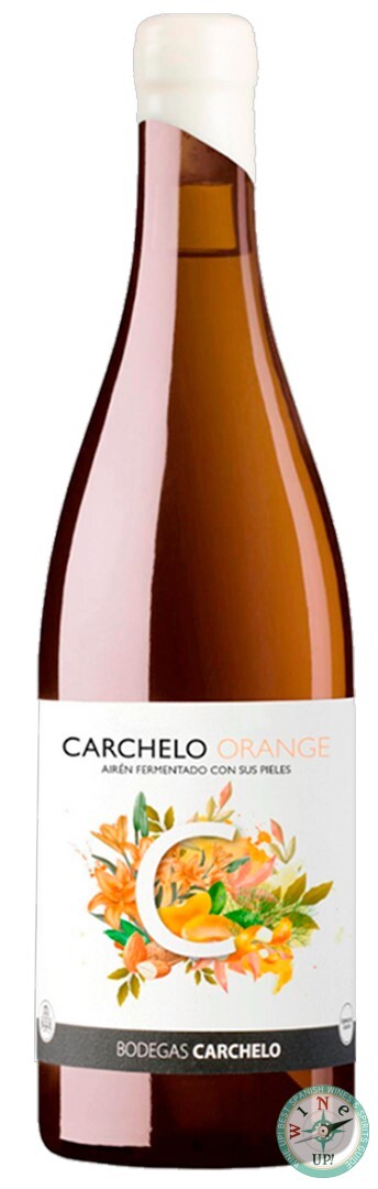 CARCHELO ORANGE 2024