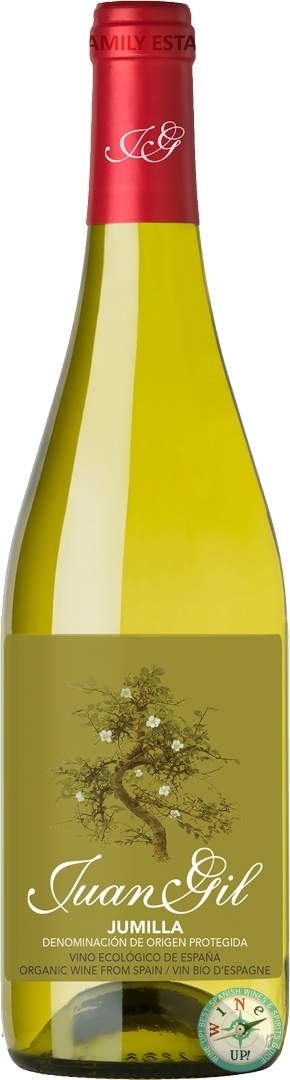 JUAN GIL BLANCO 2024