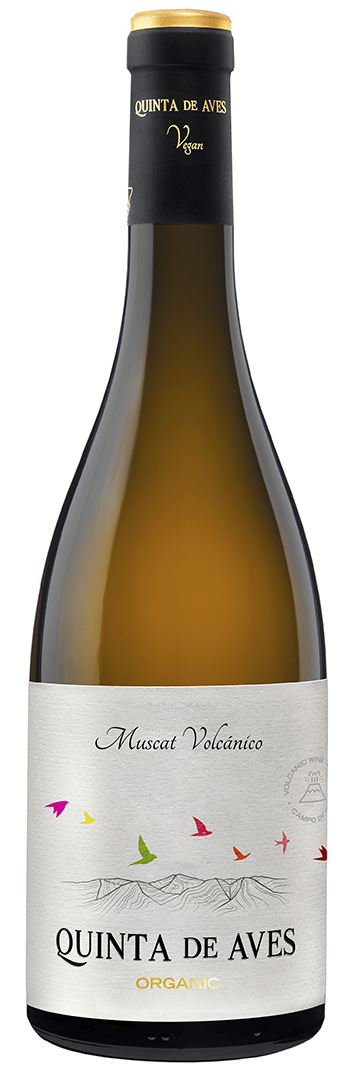 QUINTA DE AVES MUSCAT VOLCÁNICO 2025