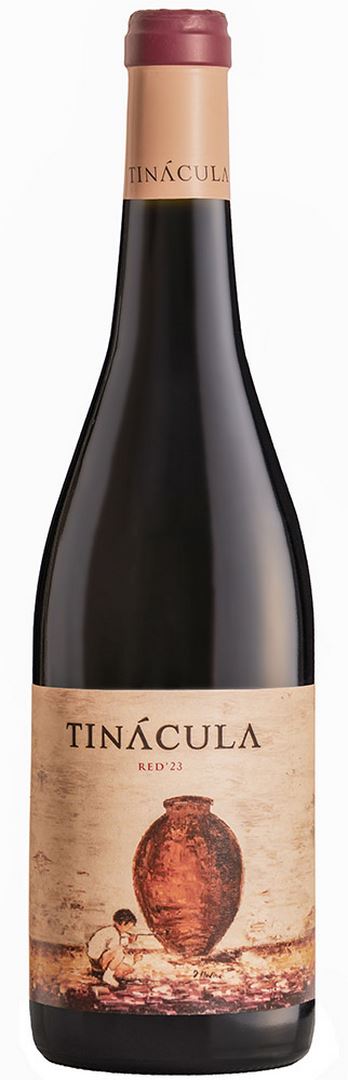 TINÁCULA RED BOBAL 2024