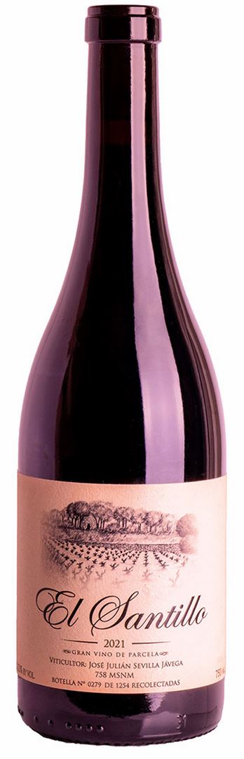 EL SANTILLO 2023