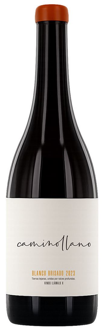 CAMINOLLANO 2023