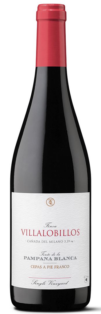 FINCA VILLALOBILLOS CAÑADA DEL MILANO 2022