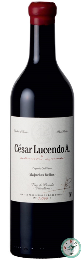 CÉSAR LUCENDO A' 2022