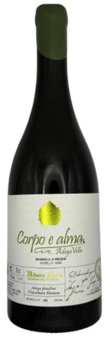 CORPO E ALMA 2022