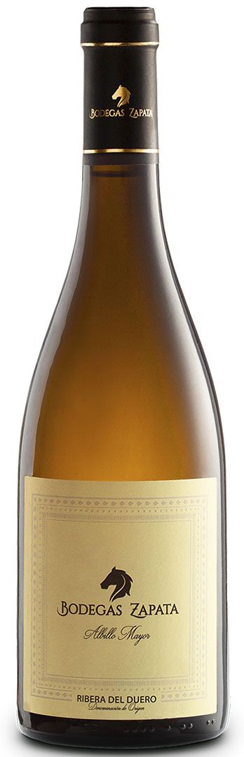 ZAPATA ALBILLO MAYOR 2023