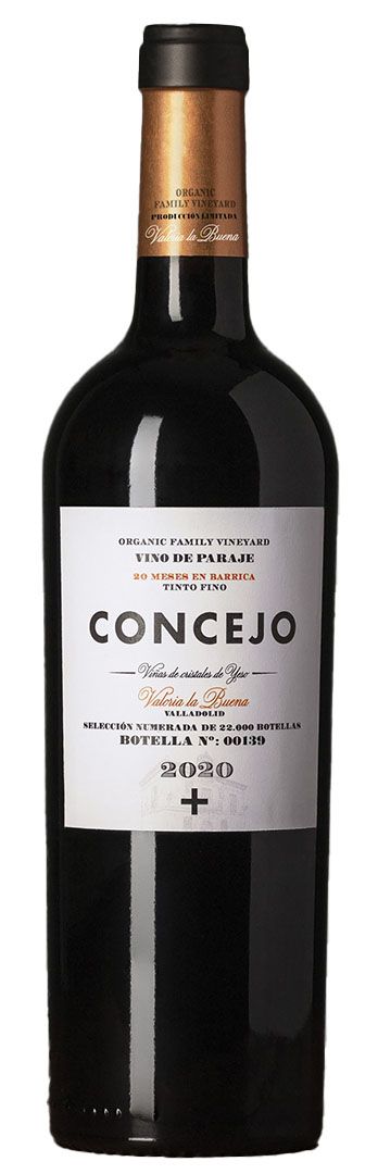 CONCEJO. VINO DE PARAJE 2020