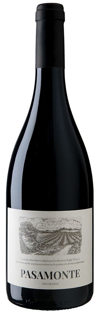 PASAMONTE TINTO 2022