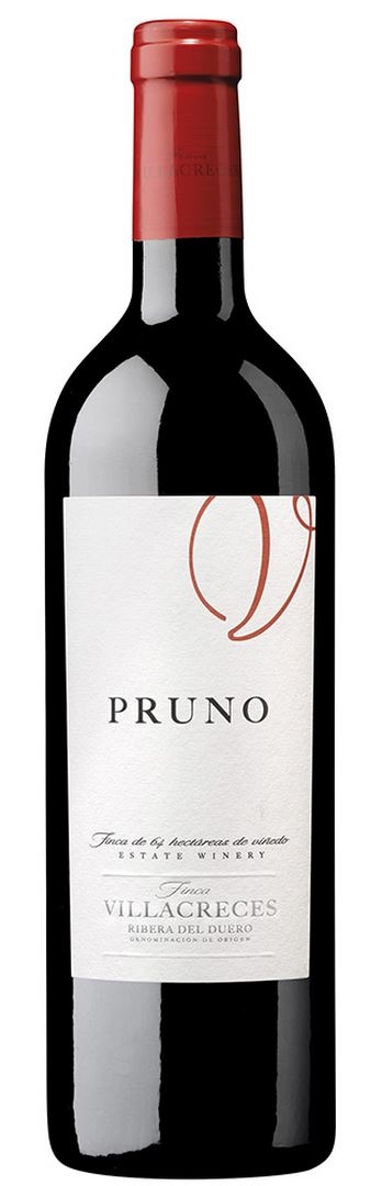 PRUNO 2023 2023