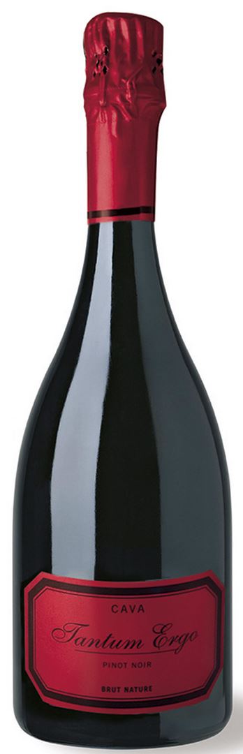 TANTUM ERGO PINOT NOIR 2022
