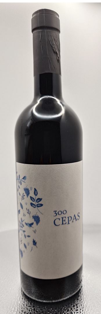 300 CEPAS 2022
