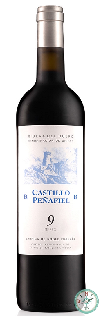 CASTILLO DE PEÑAFIEL 9 MESES 2024