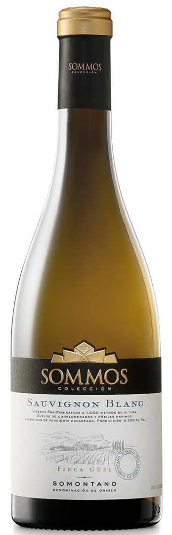 SOMMOS COLECCIÓN SAUVIGNON BLANC 2025