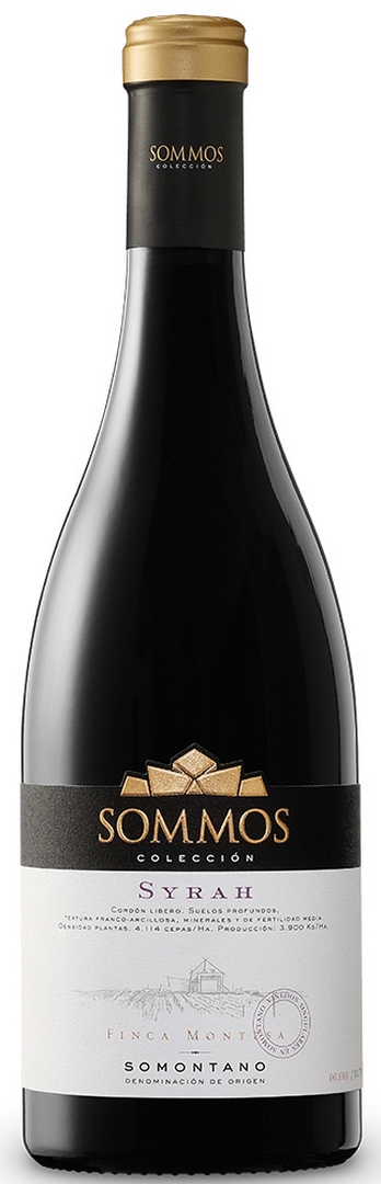 SOMMOS COLECCIÓN SYRAH 2020